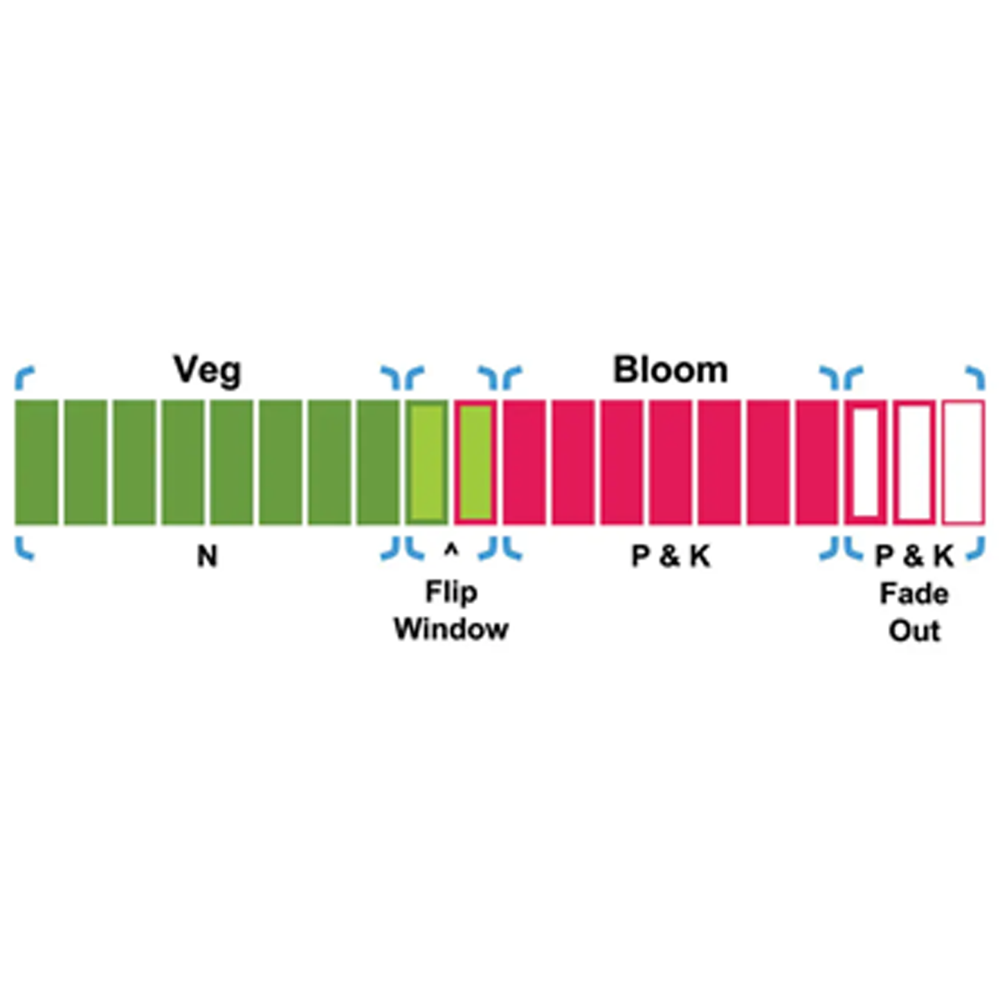 Real Grower's Grow Dots Extended Veg Formula