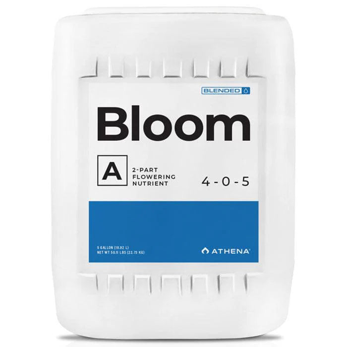 Athena Bloom B (Blended)