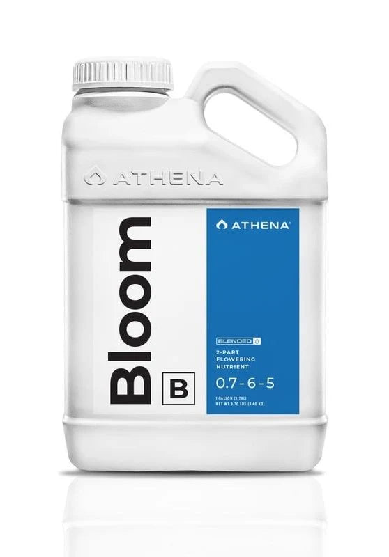 Athena Bloom B (Blended)