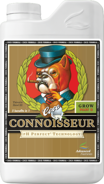 Connoisseur Coco Grow (Part B)