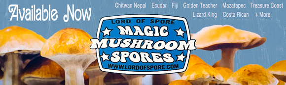 Mushroom Spores/Kits