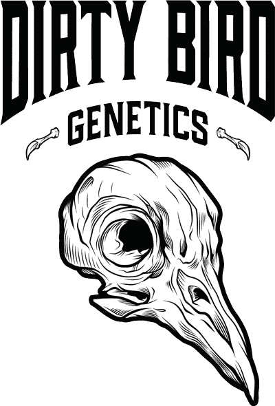 Dirty Bird Genetics