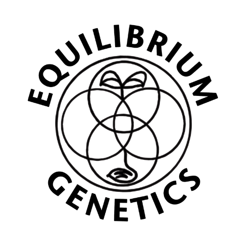 Equilibrium Genetics