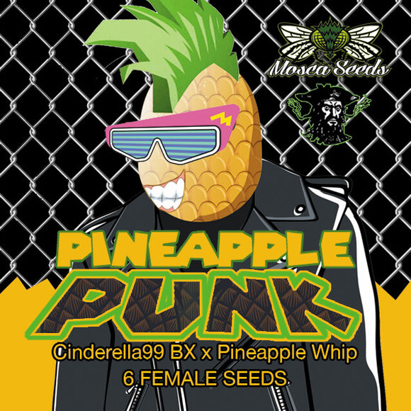 Pineapple Punk (Fem Photo)