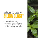 Botanicare Silica Blast