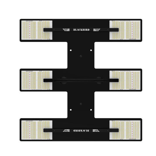 HLG BlackBird Full Spectrum 600W LED