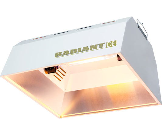 Radiant DE: High Intensity Double-Ended Reflector