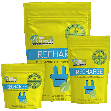 Real Grower's Recharge