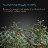 Polyester Plant Trellis Netting