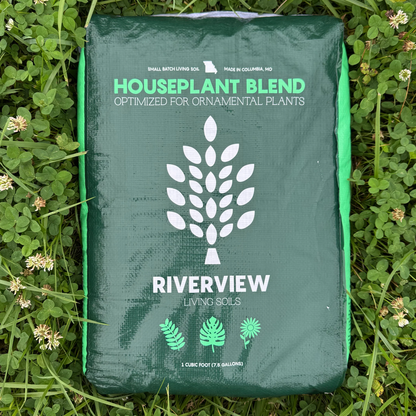 Riverview Houseplant Blend