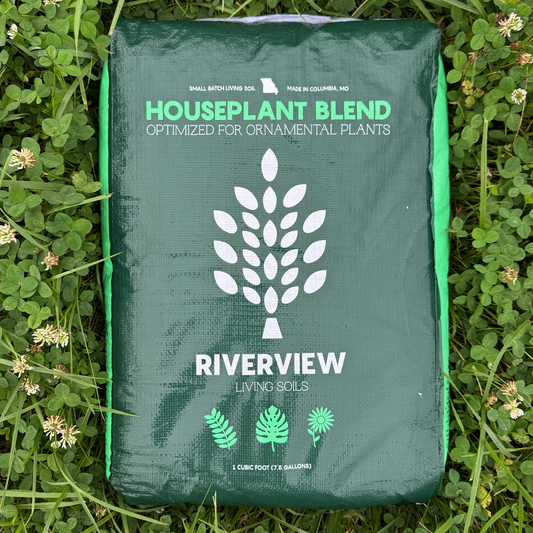 Riverview Houseplant Blend