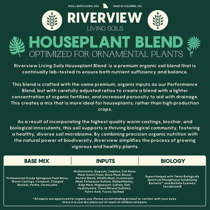 Riverview Houseplant Blend