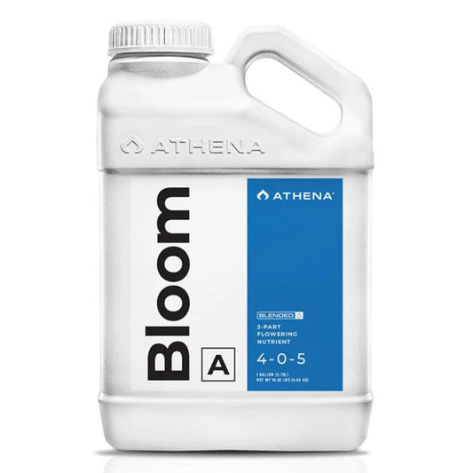 Athena Bloom A (Blended)