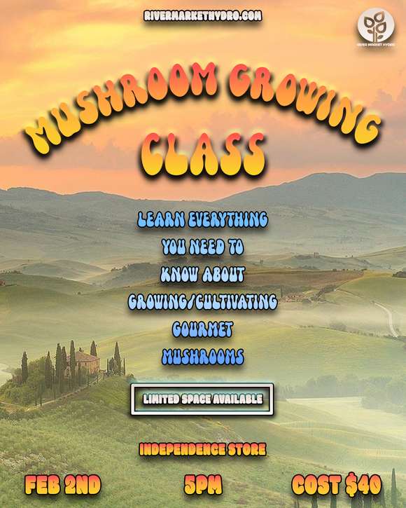 Mycology Class for Gourmet Mushrooms