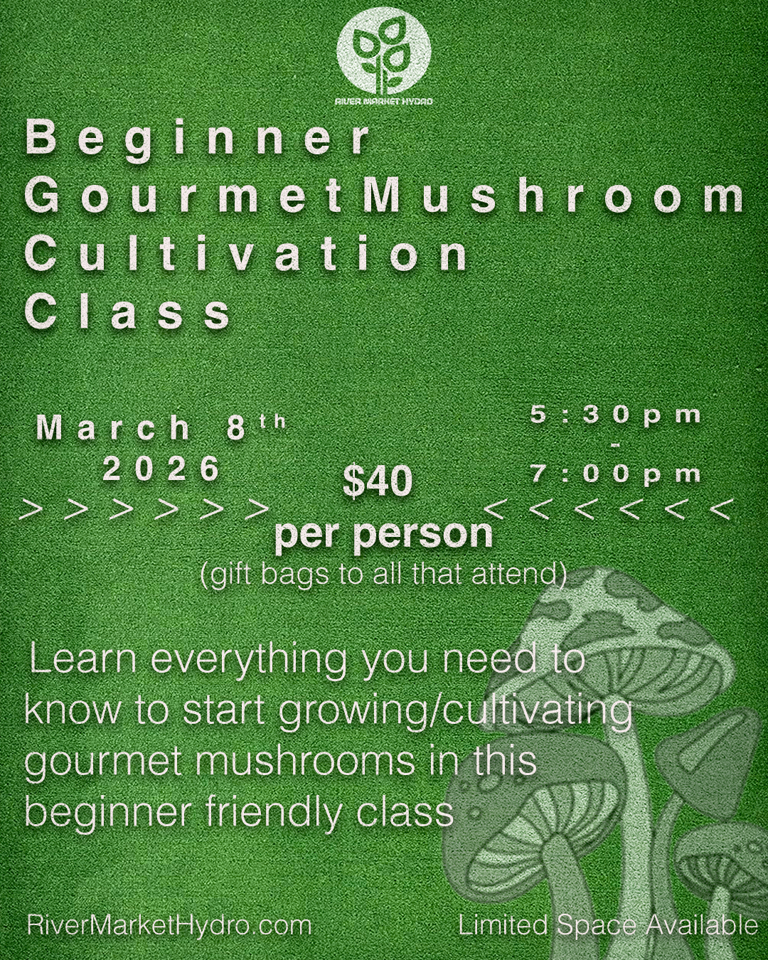 Gourmet Mushroom Class (March 8th 2026)