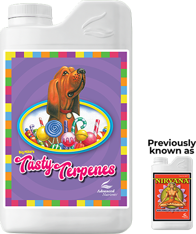 Tasty Terpene (Originally Nirvana)
