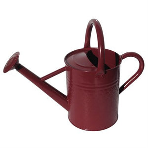 Embossed Watering Cans 4oz