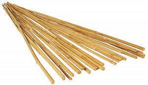 Grow!t Bamboo (25pack)
