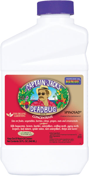 Captain Jack's Deadbug Brew Conc. 1qt