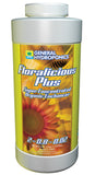 GH Floralicious Plus