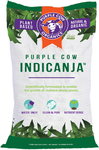 Purple Cow IndiCanja (1cu.ft.)