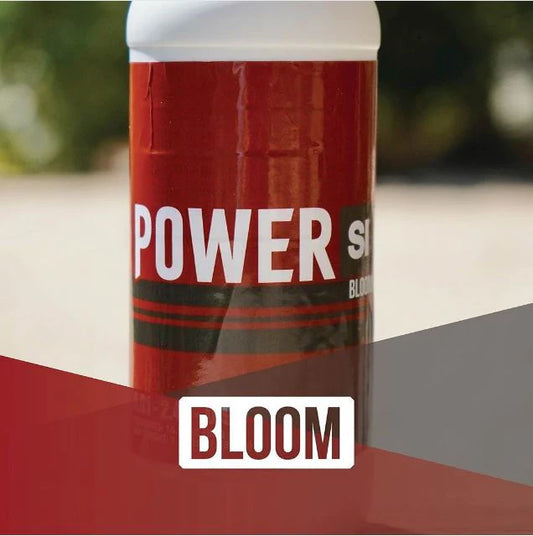 Power Si Bloom